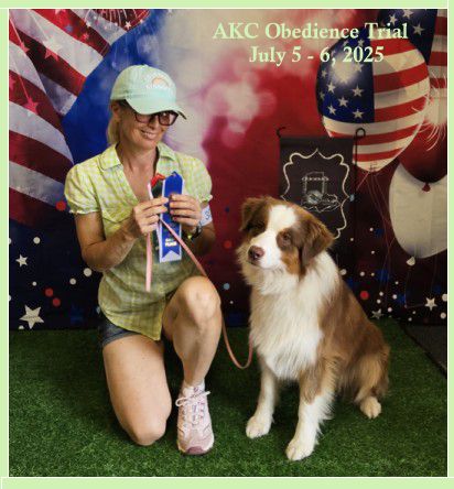 AKC Obedience